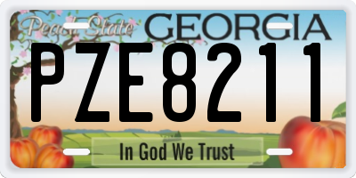 GA license plate PZE8211