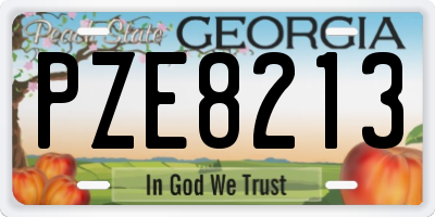 GA license plate PZE8213