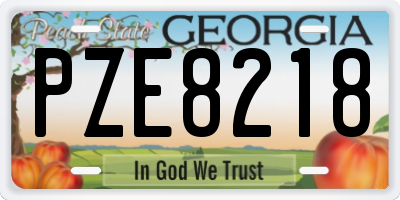 GA license plate PZE8218