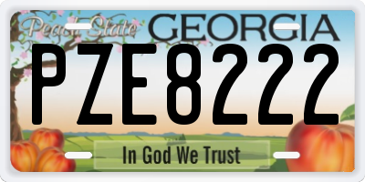 GA license plate PZE8222