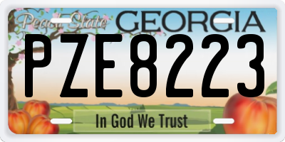 GA license plate PZE8223