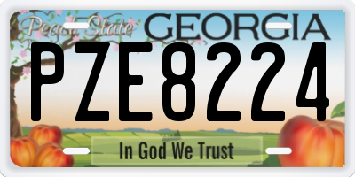 GA license plate PZE8224