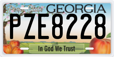 GA license plate PZE8228