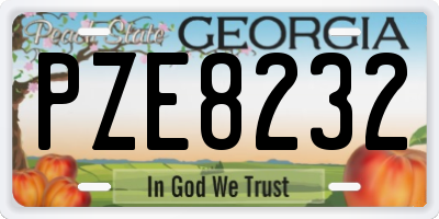 GA license plate PZE8232