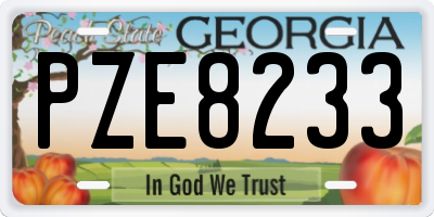 GA license plate PZE8233