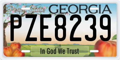 GA license plate PZE8239