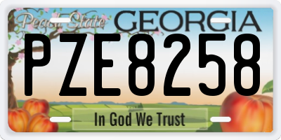 GA license plate PZE8258