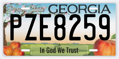 GA license plate PZE8259