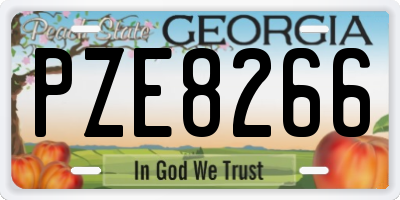 GA license plate PZE8266