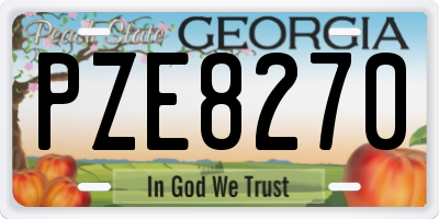 GA license plate PZE8270