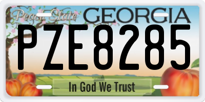 GA license plate PZE8285