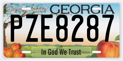 GA license plate PZE8287