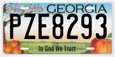GA license plate PZE8293