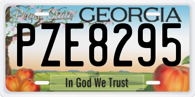 GA license plate PZE8295