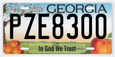 GA license plate PZE8300
