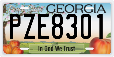 GA license plate PZE8301
