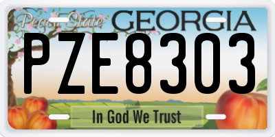 GA license plate PZE8303