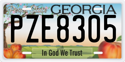 GA license plate PZE8305