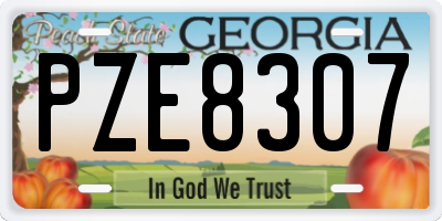 GA license plate PZE8307