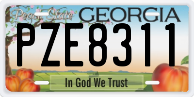 GA license plate PZE8311