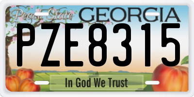 GA license plate PZE8315
