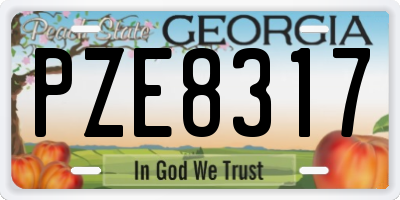 GA license plate PZE8317