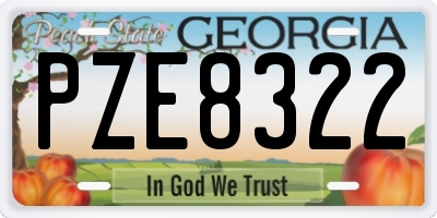 GA license plate PZE8322