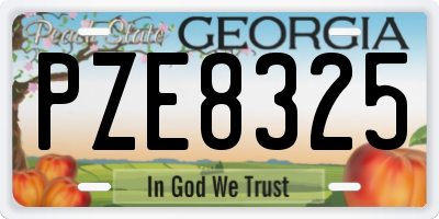GA license plate PZE8325