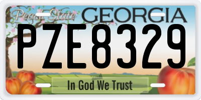 GA license plate PZE8329