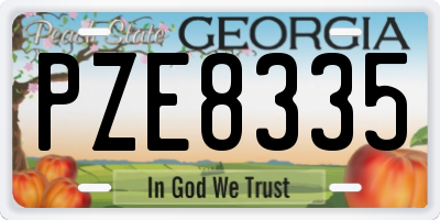 GA license plate PZE8335