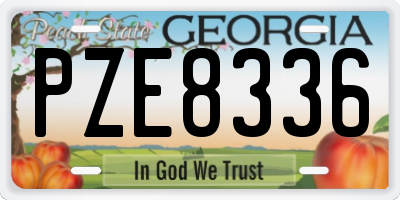 GA license plate PZE8336