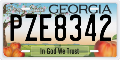 GA license plate PZE8342
