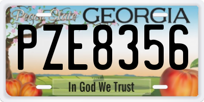 GA license plate PZE8356
