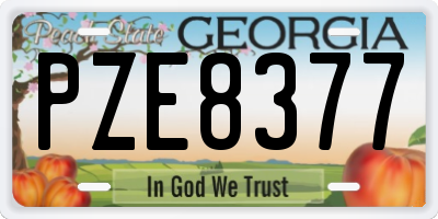 GA license plate PZE8377