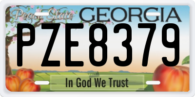 GA license plate PZE8379