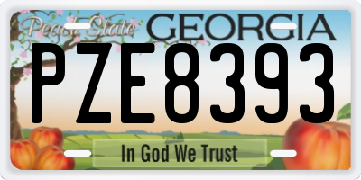 GA license plate PZE8393