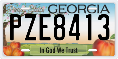 GA license plate PZE8413