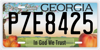 GA license plate PZE8425
