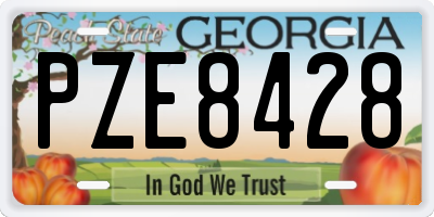 GA license plate PZE8428