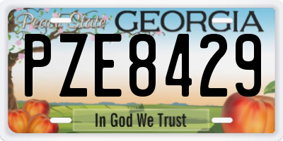 GA license plate PZE8429