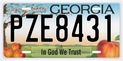 GA license plate PZE8431