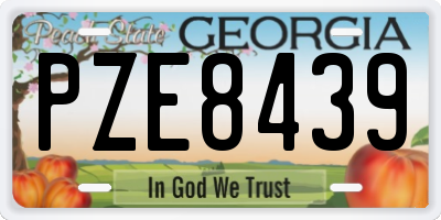 GA license plate PZE8439