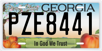 GA license plate PZE8441