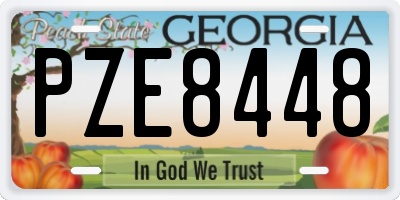 GA license plate PZE8448