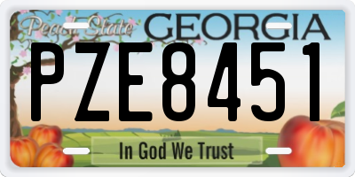GA license plate PZE8451