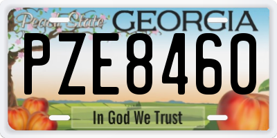 GA license plate PZE8460