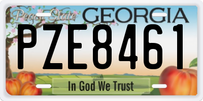GA license plate PZE8461