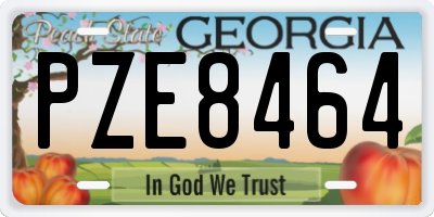 GA license plate PZE8464