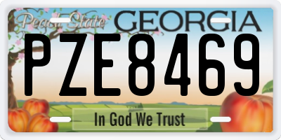 GA license plate PZE8469