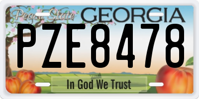 GA license plate PZE8478